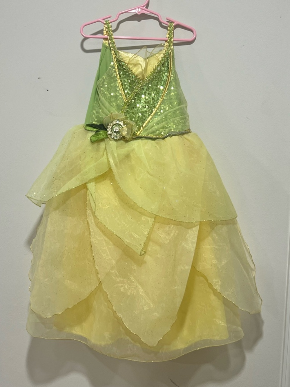 Disney Store Princess and the Frog Tiana Dress Costume Bippity Boppity Boutique